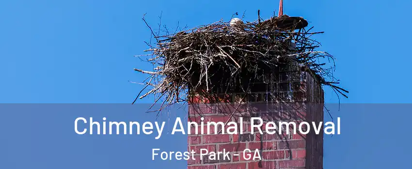  Chimney Animal Removal Forest Park - GA