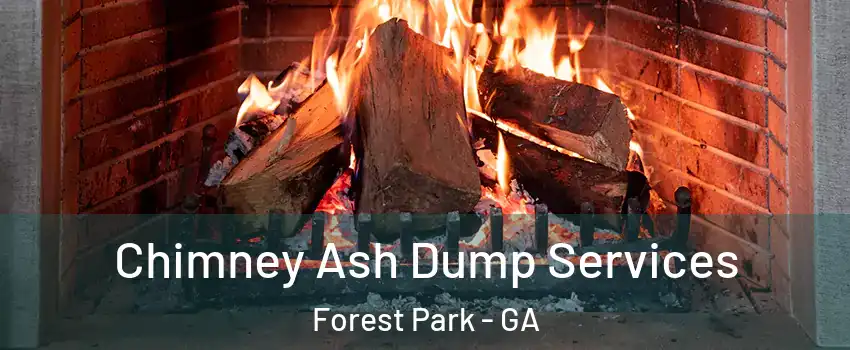  Chimney Ash Dump Services Forest Park - GA