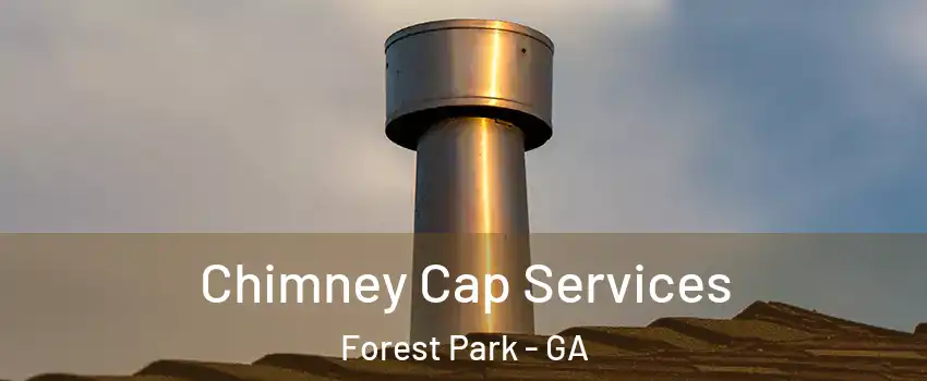  Chimney Cap Services Forest Park - GA