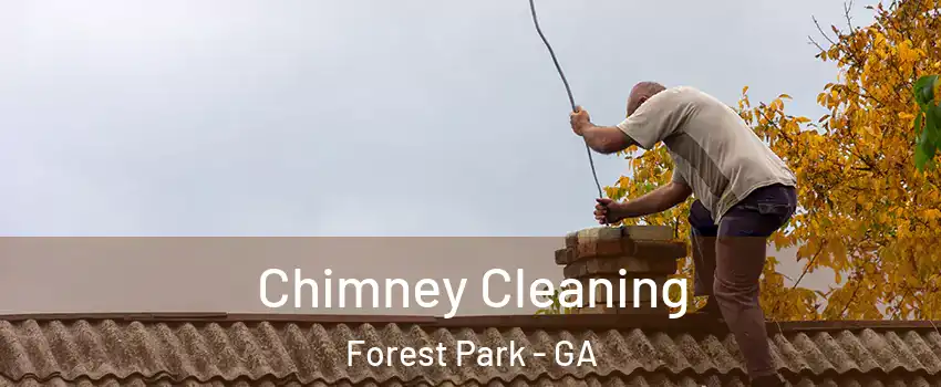  Chimney Cleaning Forest Park - GA