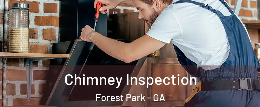  Chimney Inspection Forest Park - GA