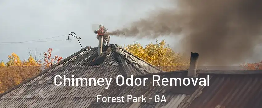  Chimney Odor Removal Forest Park - GA