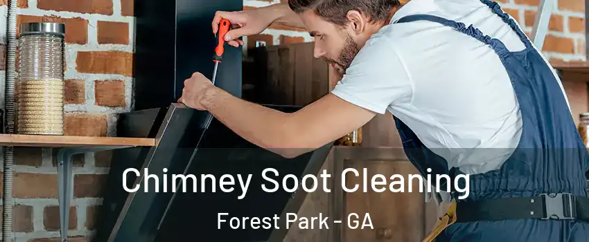  Chimney Soot Cleaning Forest Park - GA