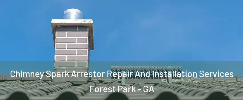  Chimney Spark Arrestor Repair And Installation Services Forest Park - GA