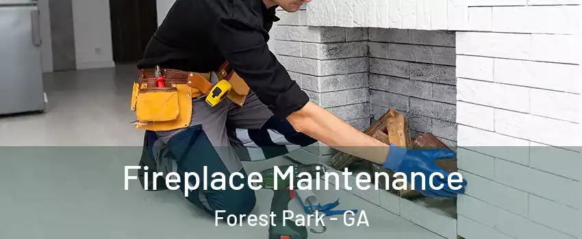  Fireplace Maintenance Forest Park - GA