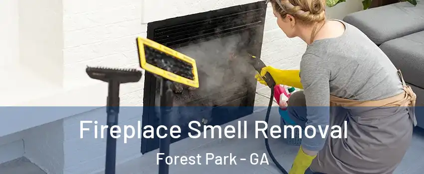  Fireplace Smell Removal Forest Park - GA