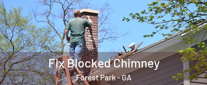  Fix Blocked Chimney Forest Park - GA