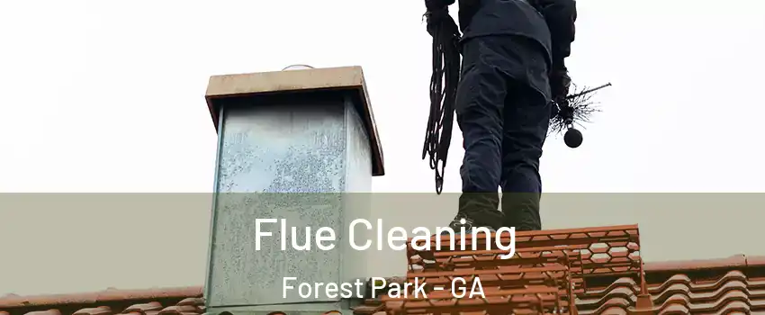  Flue Cleaning Forest Park - GA