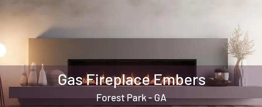  Gas Fireplace Embers Forest Park - GA