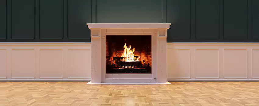 Napoleon Electric Fireplaces Inspection Service in Forest Park, Georgia