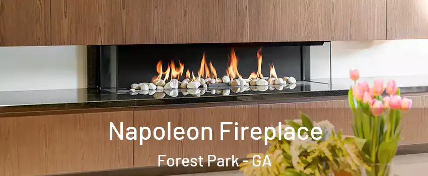  Napoleon Fireplace Forest Park - GA