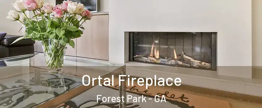  Ortal Fireplace Forest Park - GA
