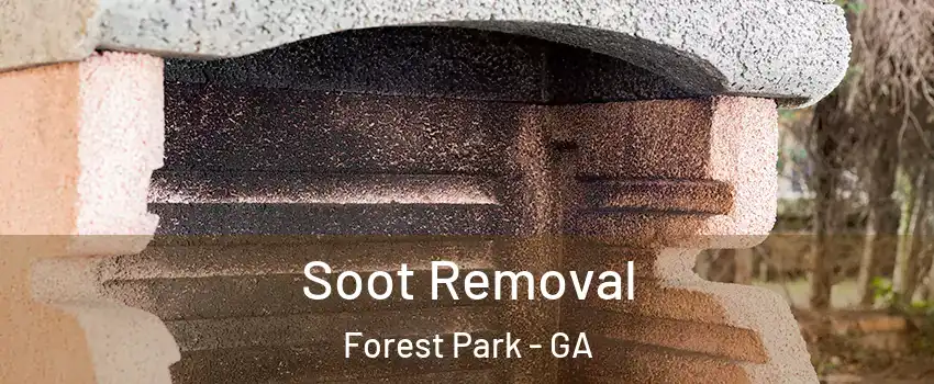  Soot Removal Forest Park - GA
